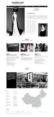 網(wǎng)站與網(wǎng)頁設(shè)計(jì) 構(gòu)建數(shù)字世界的藝術(shù)與科學(xué)