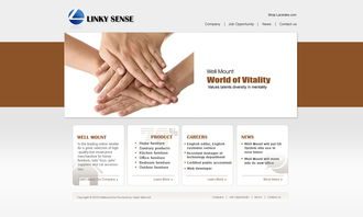 公司網(wǎng)站設(shè)計 打造專業(yè)、用戶體驗卓越的網(wǎng)頁與網(wǎng)站